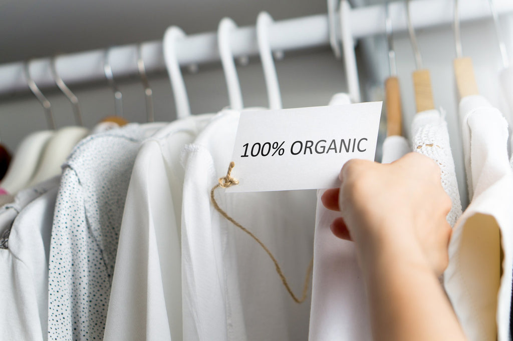 Fashionable and Sustainable: 10 Eco-Friendly Clothing Brands That Care