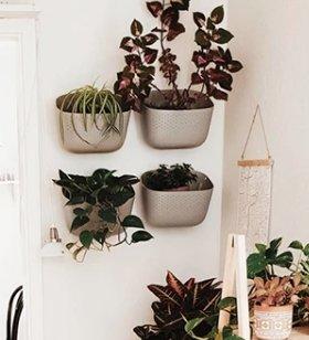Living Wall Planter - Living Wall Planters By WoollyPocket