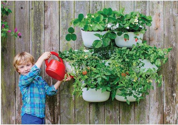 woolly pocket plastic wall planter Living wall planters by WoollyPocket-Outdoor/Indoor Planters